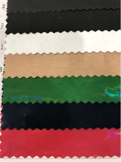 GZ-JNHE  391  尼龍面料 背囊/雨衣面料  後面照